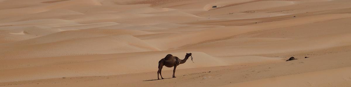 Liwa-Oase_Rub al-Chali-Desert